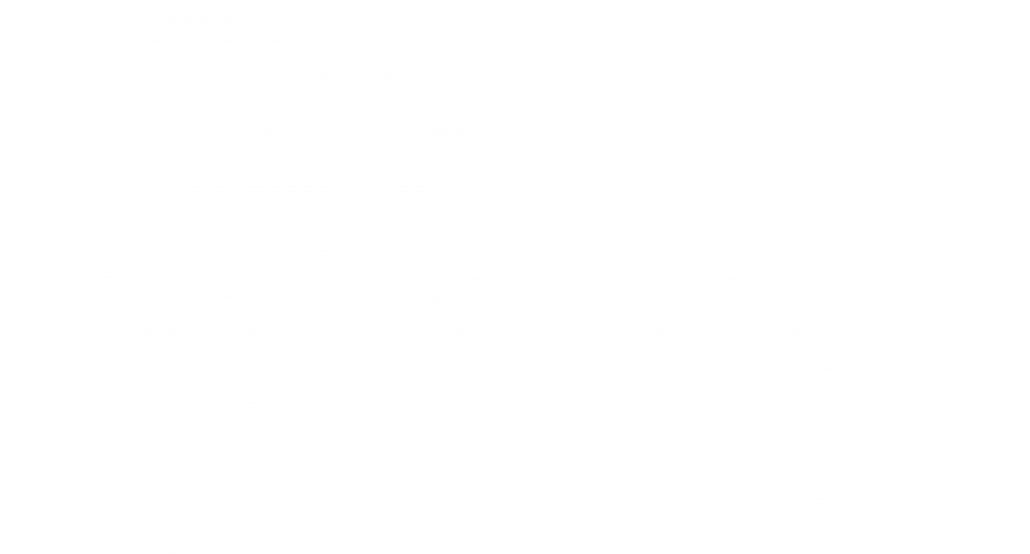 Parkų technika - iMow robotai